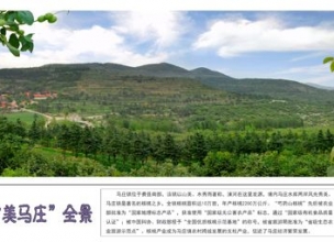 费县马庄镇第二届核桃节8月25日开幕
